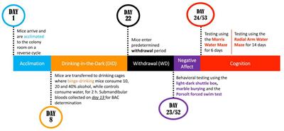 A subchronic history of binge-drinking elicits mild, age- and sex-selective, affective, and cognitive anomalies in C57BL/6J mice